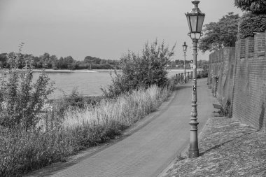 Yaz mevsimi Ren Nehri 'nde