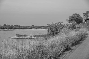 Yaz mevsimi Ren Nehri 'nde