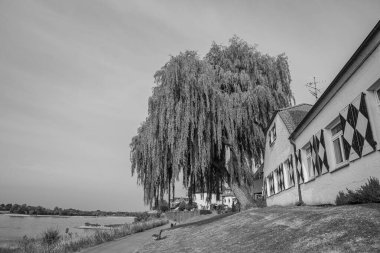 Yaz mevsimi Ren Nehri 'nde