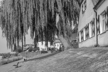 Yaz mevsimi Ren Nehri 'nde