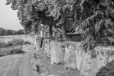 Yaz mevsimi Ren Nehri 'nde