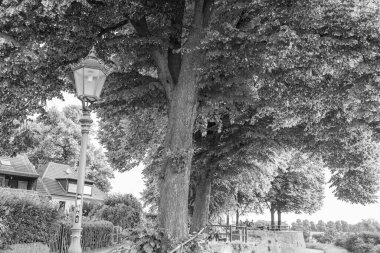 Yaz mevsimi Ren Nehri 'nde