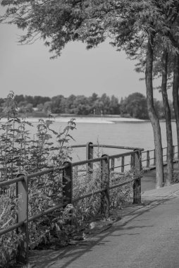 Yaz mevsimi Ren Nehri 'nde