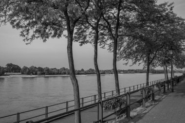 Yaz mevsimi Ren Nehri 'nde