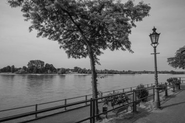 Ren Nehri kıyısındaki Rees şehri.