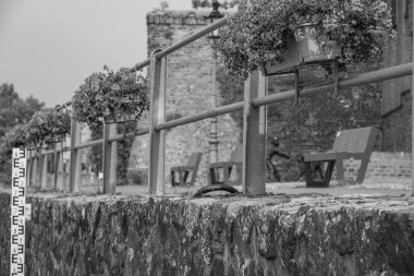 Ren Nehri kıyısındaki Rees şehri.