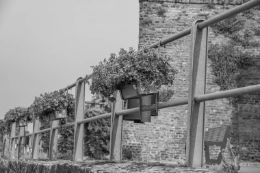 Ren Nehri kıyısındaki Rees şehri.