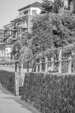 Ren Nehri kıyısındaki Rees şehri.