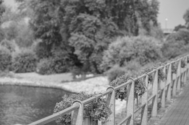 Ren Nehri kıyısındaki Rees şehri.