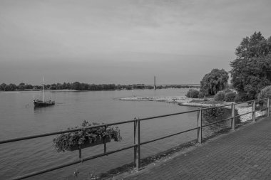 Ren Nehri kıyısındaki Rees şehri.