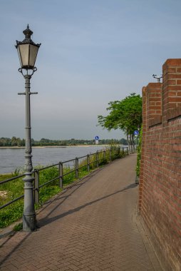 Ren Nehri kıyısındaki Rees şehri.