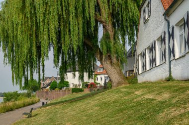 Ren Nehri kıyısındaki Rees şehri.