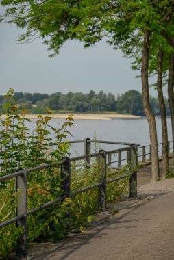 Ren Nehri kıyısındaki Rees şehri.