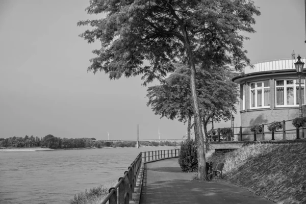 夏天在莱茵河边 — 图库照片