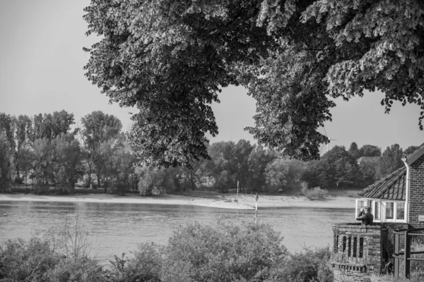 Czas Letni Nad Rzeką Rhine Trzcinach — Zdjęcie stockowe