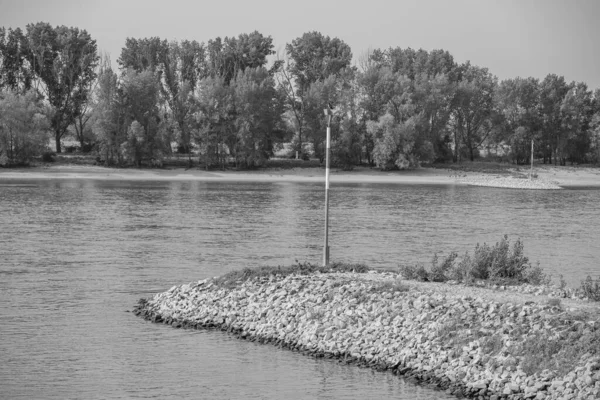 Summer Time Rhine River Rees — Stock Photo, Image