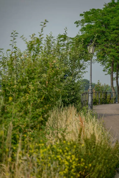 stock image The city of Rees at the rhine River