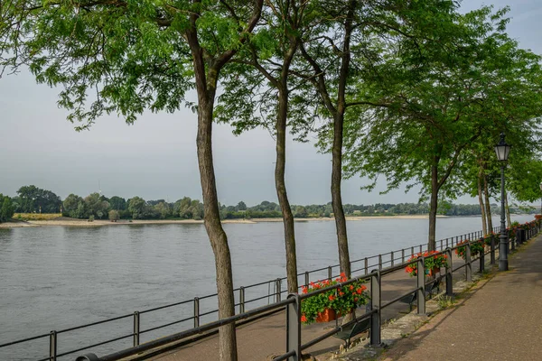 Staden Rees Vid Floden Rhine — Stockfoto