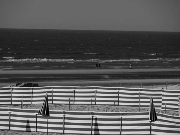Haan Belçika Nın Kuzey Denizinde — Stok fotoğraf