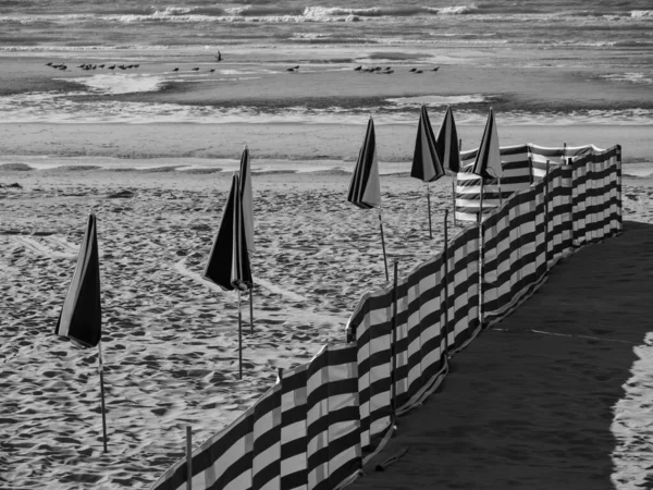 Solnedgang Stranden Haan Belgien - Stock-foto