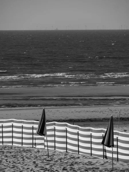 Solnedgang Ved Stranden Haan Belgia – stockfoto