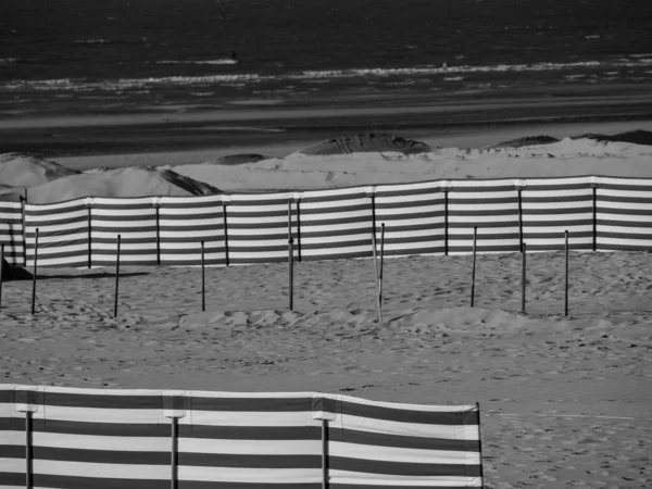 Solnedgang Stranden Haan Belgien - Stock-foto