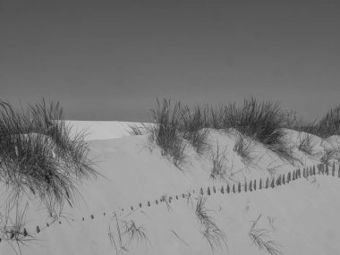 Belçika 'nın kuzey kıyısı