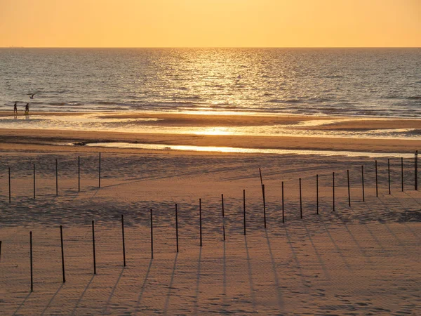 Den Belgiske Nordsjökusten — Stockfoto