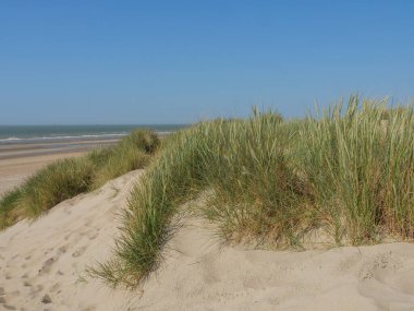 Belçika 'nın kuzey sahilindeki De Haan plajı.