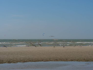 Belçika 'nın kuzey sahilindeki De Haan plajı.