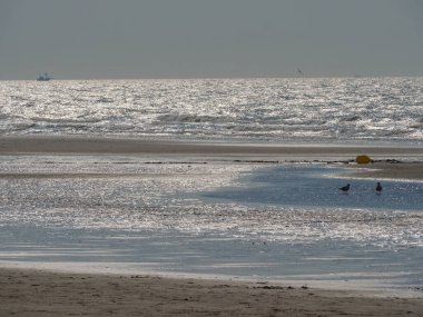 Belçika 'nın kuzey sahilindeki De Haan plajı.