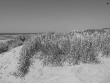 Belçika 'nın kuzey sahilindeki De Haan plajı.