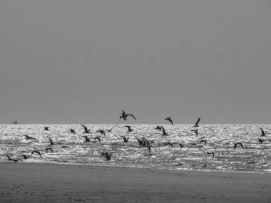 Belçika 'nın kuzey sahilindeki De Haan plajı.