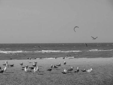 Belçika 'nın kuzey sahilindeki De Haan plajı.