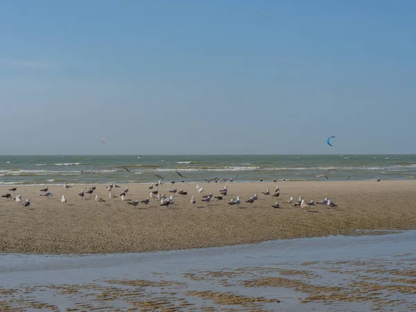 stock image The beach of De Haan at the belgian north sea coast