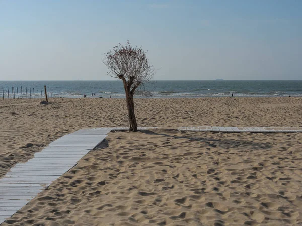 Пляж Хан Северном Побережье Бельгии — стоковое фото