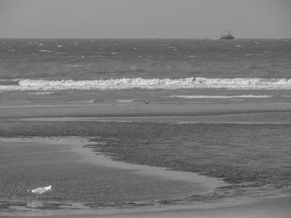 Пляж Хаан Белігійному Північному Узбережжі Моря — стокове фото