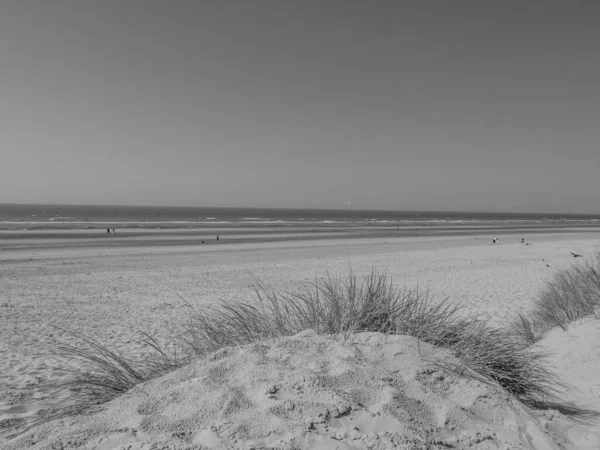 Stranden Haan Ved Den Belgiske Nordsøkyst - Stock-foto