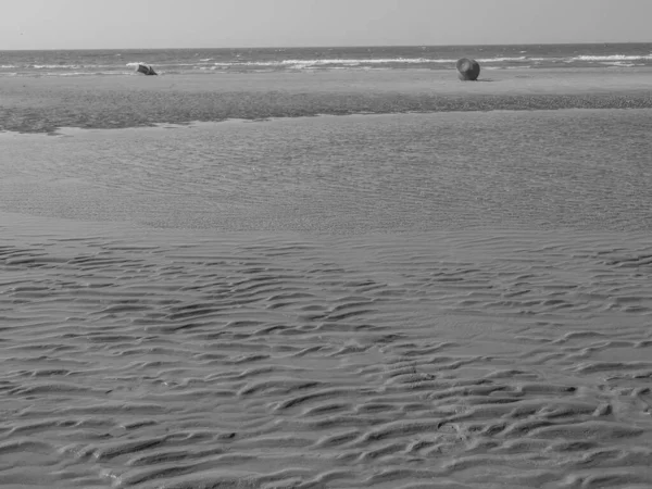Stranden Haan Vid Den Belgiske Nordsjökusten — Stockfoto