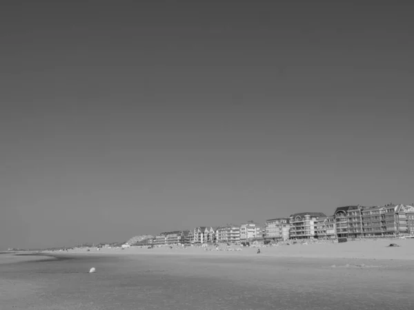 Stranden Haan Vid Den Belgiske Nordsjökusten — Stockfoto