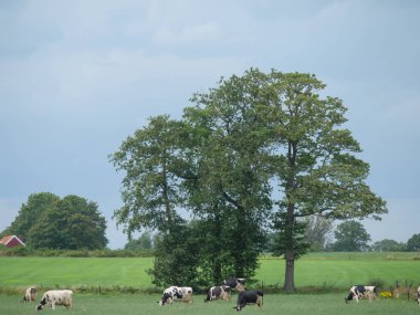 Winterswijk yakınlarındaki Hollanda 'da yaz mevsimi