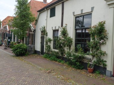 Winterswijk yakınlarındaki Hollanda 'da yaz mevsimi