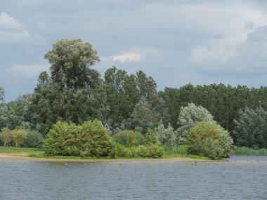 Winterswijk yakınlarındaki Hollanda 'da yaz mevsimi