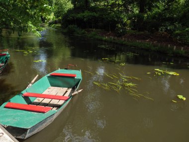 Winterswijk yakınlarındaki Hollanda 'da yaz mevsimi