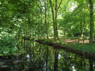 Szkammergut 'ta Gosau yakınlarındaki Avustralya Alplerinde yaz zamanı.