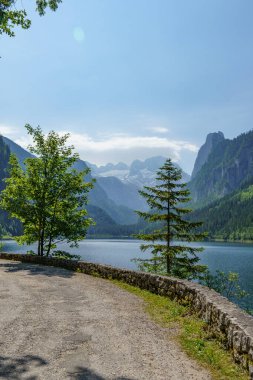 Szkammergut 'ta Gosau yakınlarındaki Avustralya Alplerinde yaz zamanı.