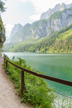 Szkammergut 'ta Gosau yakınlarındaki Avustralya Alplerinde yaz zamanı.