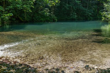 Szkammergut 'ta Gosau yakınlarındaki Avustralya Alplerinde yaz zamanı.