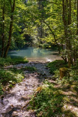 Szkammergut 'ta Gosau yakınlarındaki Avustralya Alplerinde yaz zamanı.