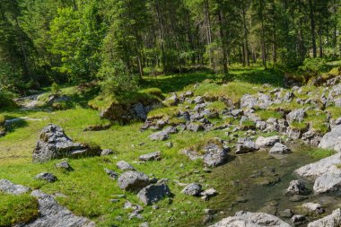 Szkammergut 'ta Gosau yakınlarındaki Avustralya Alplerinde yaz zamanı.